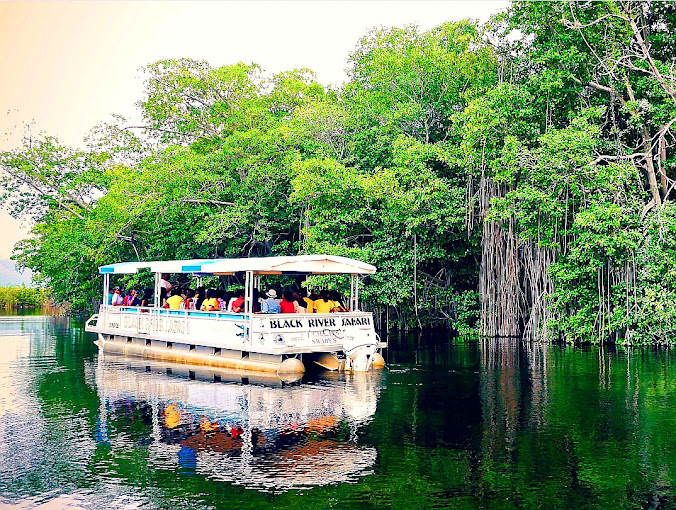 Black River Safari