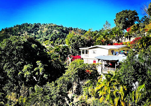 Bluemountview-guesthouse-1.jpg