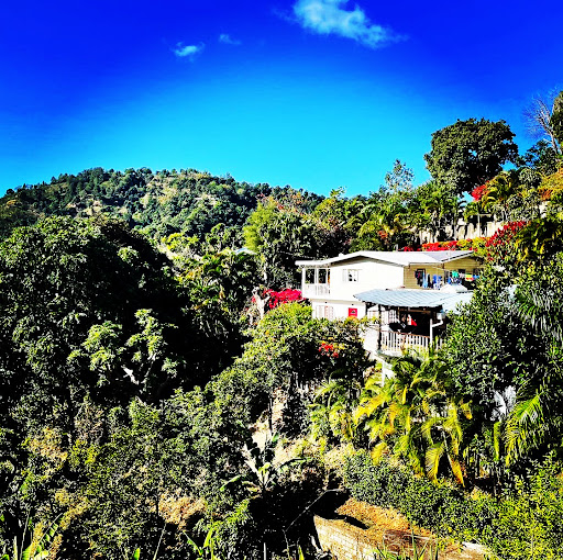 Bluemountview Guesthouse
