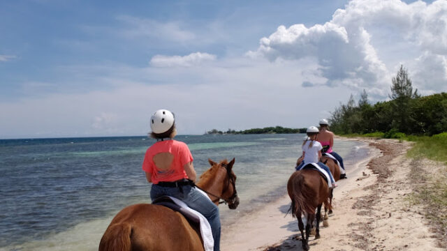 Braco-Stables-Horseback-1.jpg