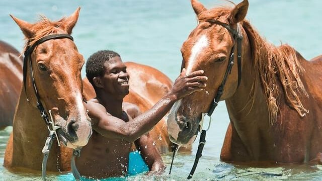 Braco-Stables-Horseback-3.jpg