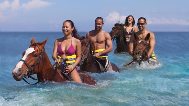 Captain-Rick-Exquisite-Jamaica-Tours-45.jpg