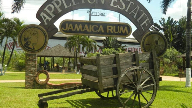 Captain-Rick-Exquisite-Jamaica-Tours-89.jpg
