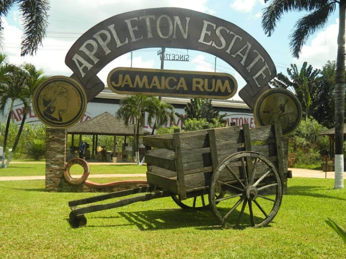 Captain-Rick-Exquisite-Jamaica-Tours-89.jpg