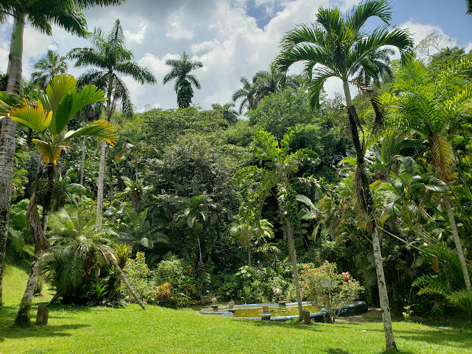 Castleton-Botanical-Gardens-2-1.jpg