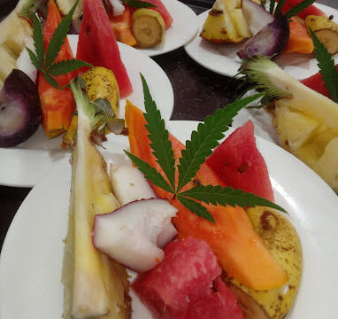 Coral-Cove-Wellness-Resort-2.jpg