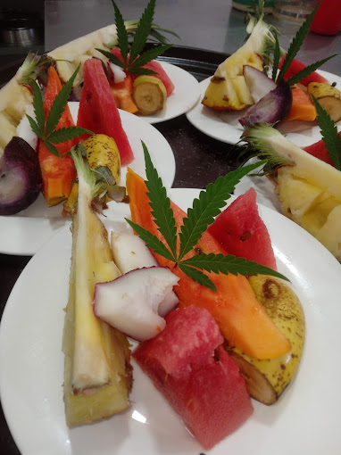Coral-Cove-Wellness-Resort-2.jpg