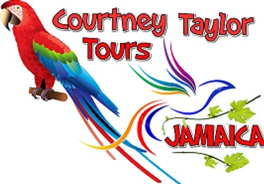 Courtney-Taylor-Private-Tours-1.jpg