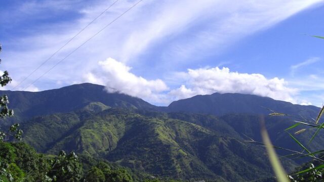 Craighton-Estate-Blue-Mountain-Coffee-Tour-3.jpg