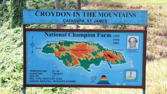 Croydon-In-The-Mountains-2.jpg