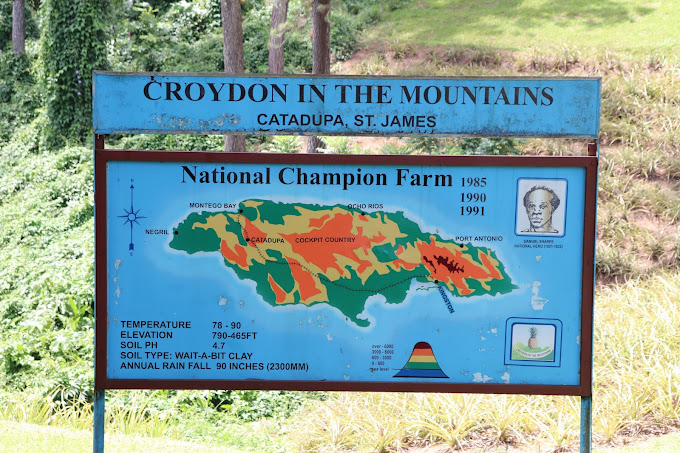 Croydon-In-The-Mountains-2.jpg