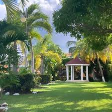 Dynasty-Jamaica-Hotel-2.jpg