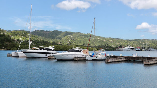 Errol-Flynn-Marina-4.jpg