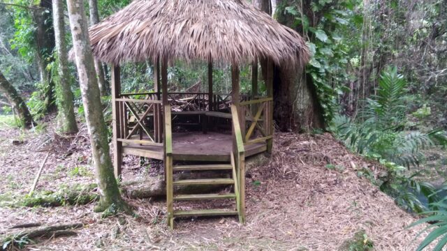 Hidden-Beauty-Jamaica-3.jpg