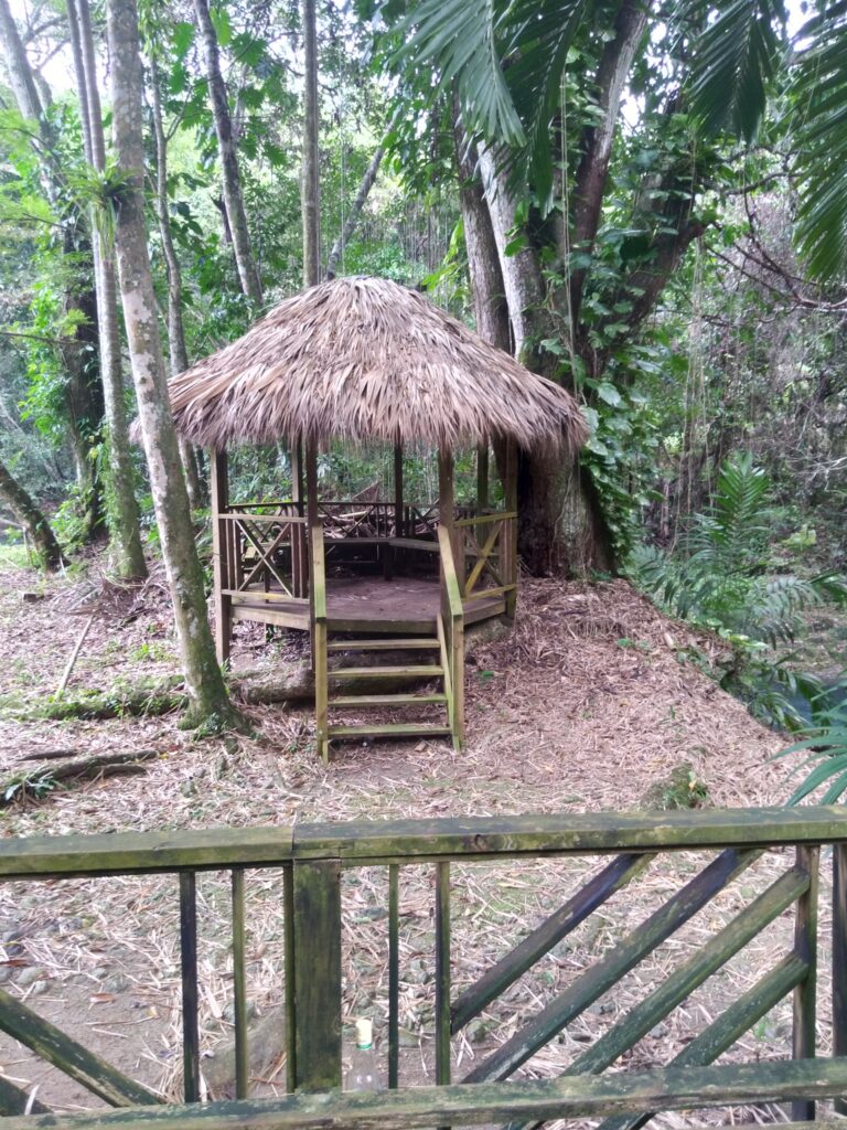 Hidden-Beauty-Jamaica-3.jpg
