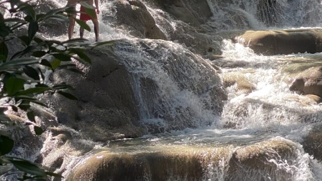 IMG_3431-scaled-1.jpeg