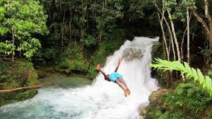 Island-Gully-Falls-1.jpg