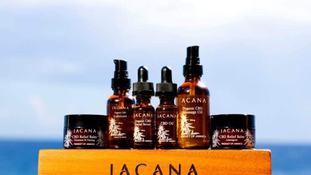 JACANA-2.jpg