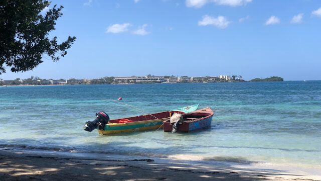 Jamaica-Action-Routes-Taxi-and-Tours-1.jpg