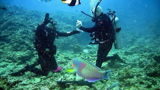 Jamaica-Scuba-Divers-2.jpg