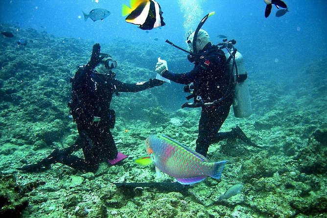 Jamaica-Scuba-Divers-2.jpg