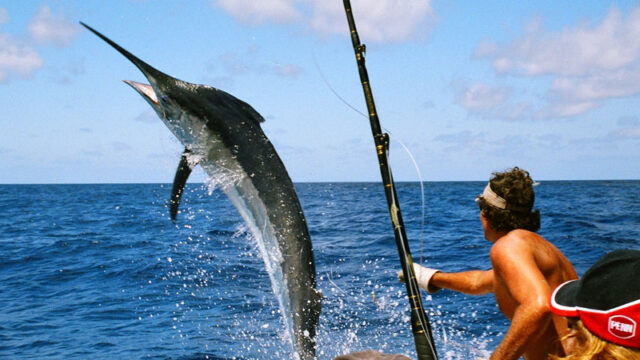Jamaica-Sport-Fishing-2.jpg