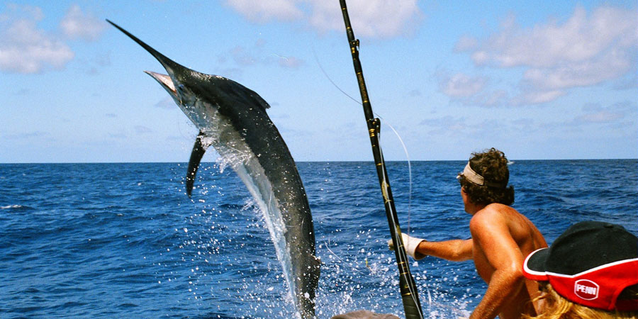 Jamaica-Sport-Fishing-2.jpg