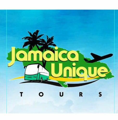Jamaica-Unique-Tours-Taxi-2.jpg