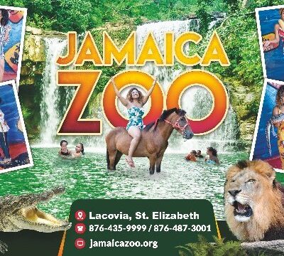 Jamaica-Zoo-1.jpg