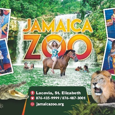 Jamaica-Zoo-1.jpg
