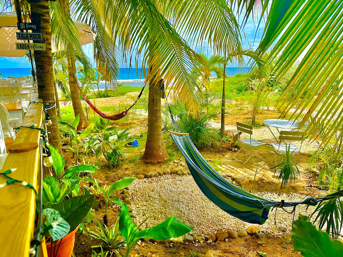 Lashings Beach Club