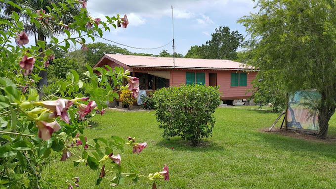 Little-Bay-Cabin-Jamaica-2.jpg