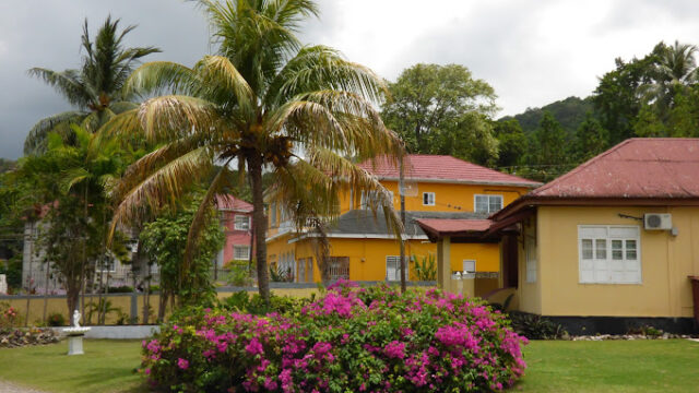 Little-Shaw-Park-Guesthouse-3.jpg