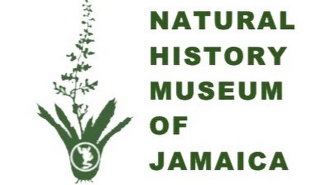 Natural-History-Museum-of-Jamaica-1.jpg