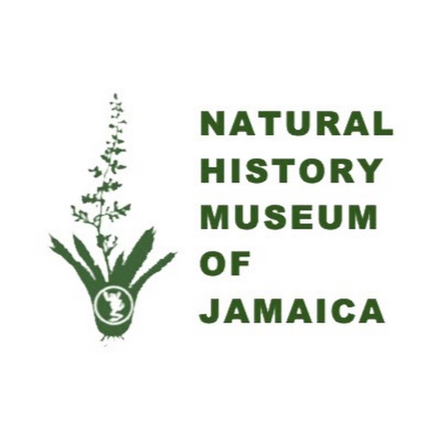 Natural History Museum of Jamaica