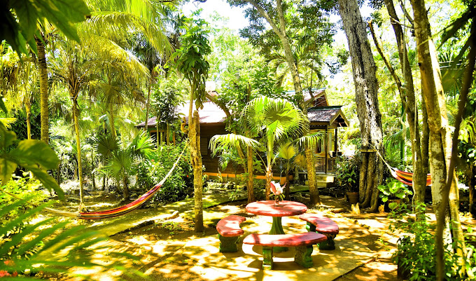 Nature-Resort-Lighthouse-Inn-3.jpg