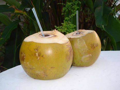 Negril-Yoga-Centre-Jamaica-3.jpg