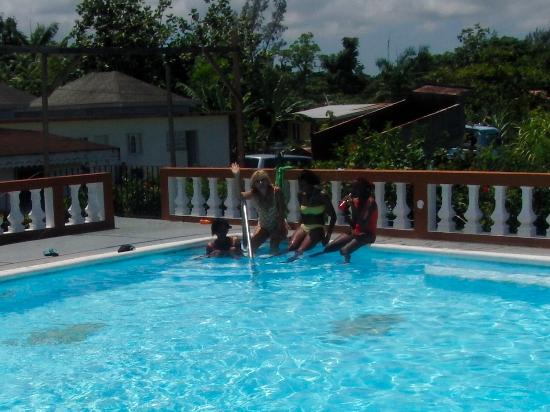 Palm Tree Guest House