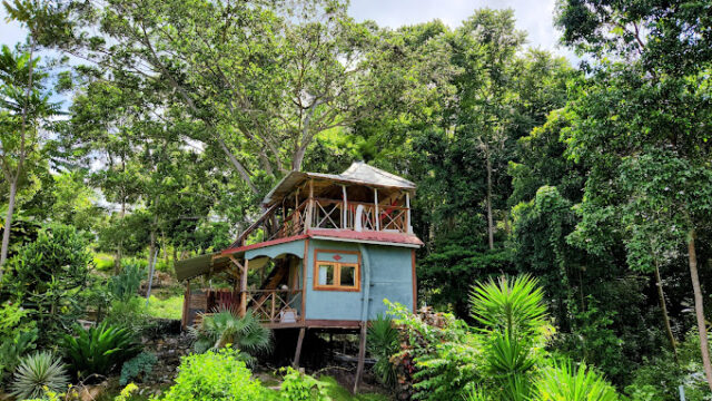 Papaya-Hill-Guesthouse-1.jpg