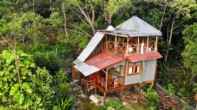 Papaya-Hill-Guesthouse-2.jpg