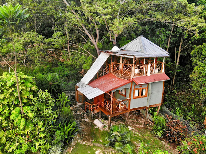 Papaya Hill Guesthouse