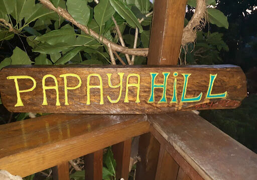 Papaya-Hill-Guesthouse-3.jpg