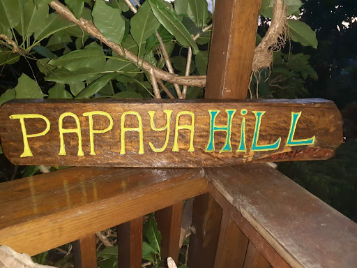 Papaya-Hill-Guesthouse-3.jpg