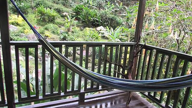 RafJam-Bed-and-Breakfast-1.jpg