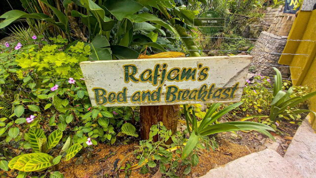 RafJam-Bed-and-Breakfast-3.jpg