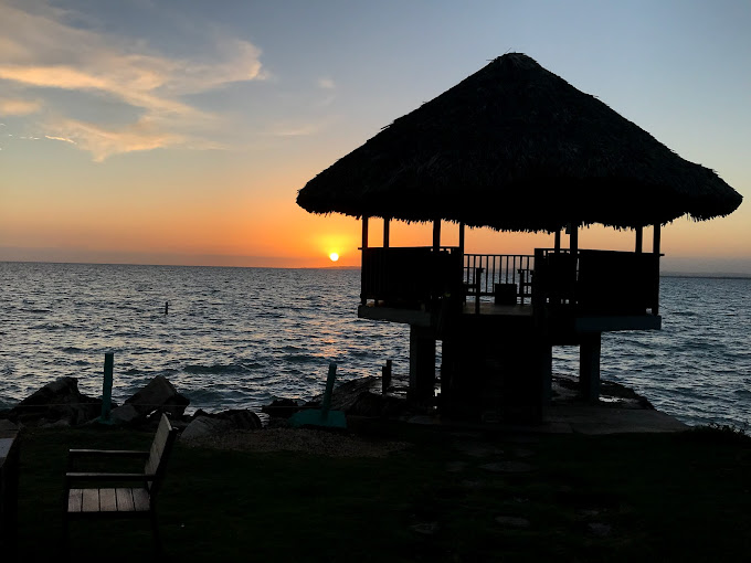 Shades Cottage Guesthouse