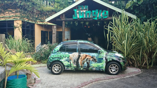 The-Jungle-1.jpg