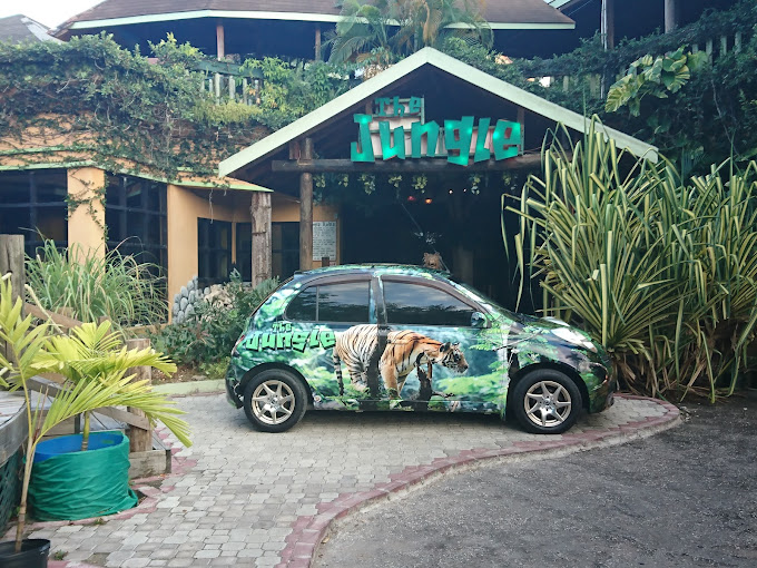 The-Jungle-1.jpg