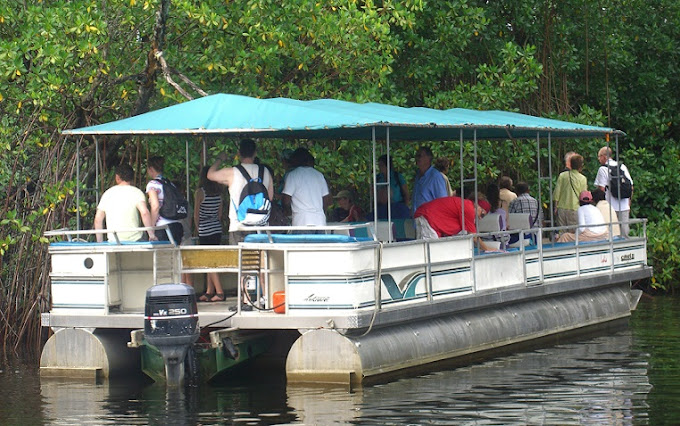 Toshic-Tours-Jamaica-1.jpg