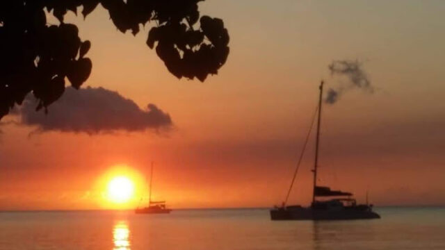 Toshic-Tours-Jamaica-3.jpg